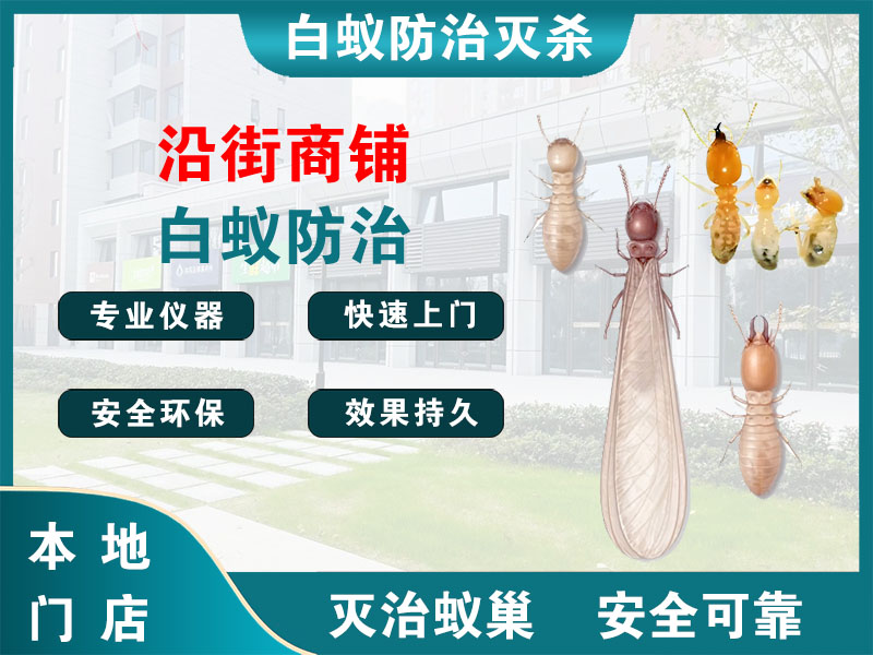 海曙区沿街商铺白蚁防治