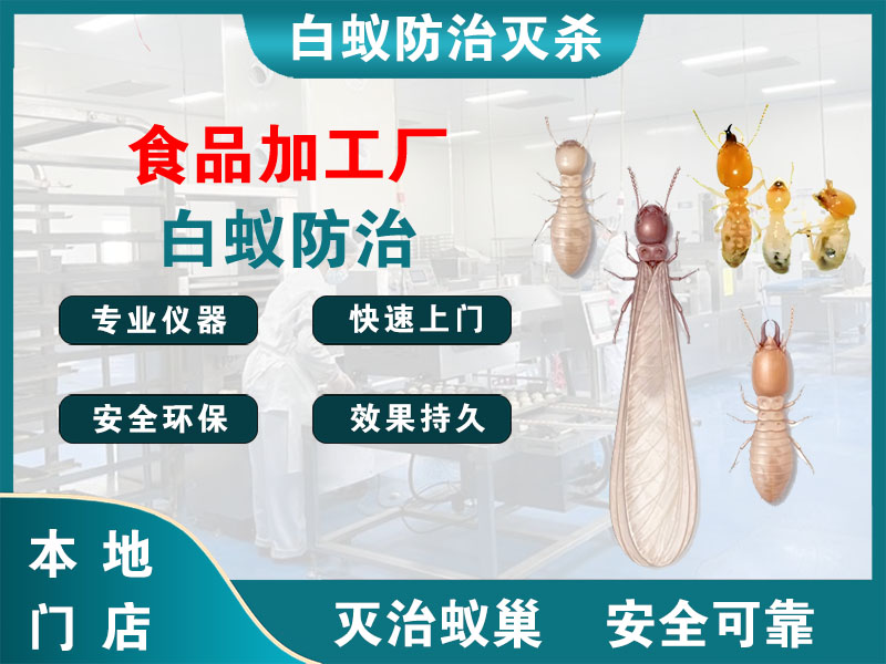 海曙区食品加工厂白蚁防治