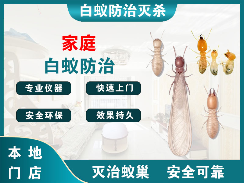 海曙区家庭白蚁防治