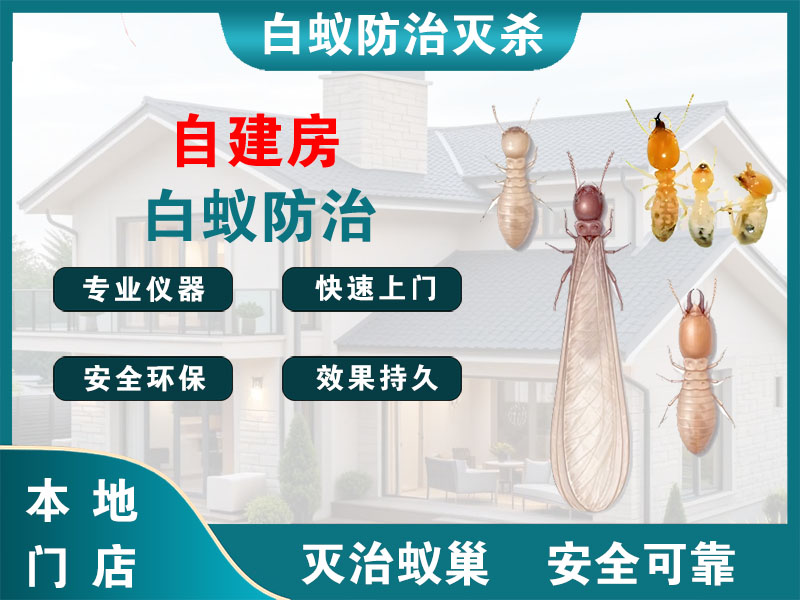 海曙区自建房白蚁防治