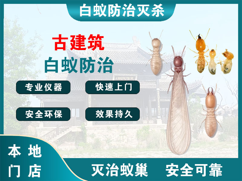 海曙区古建筑白蚁防治