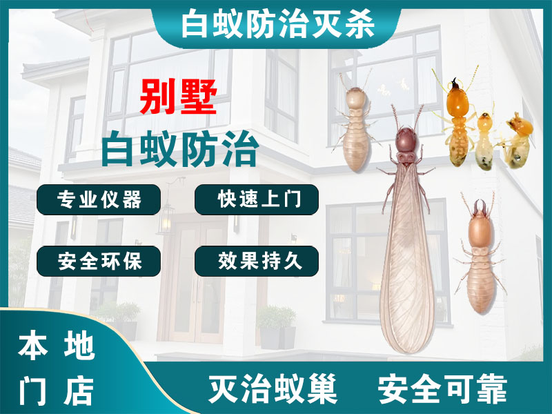 海曙区别墅白蚁防治