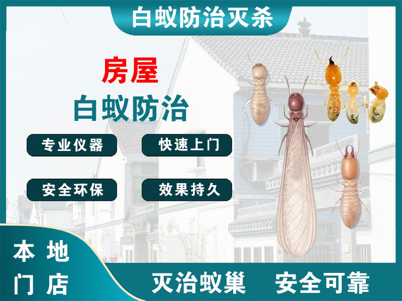 海曙区房屋白蚁防治